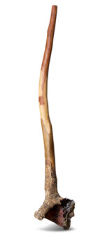 Heartland Didgeridoo (HD429)